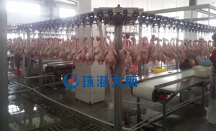 震驚!禽肉自動(dòng)分級秤,黑科技,甩掉高人工低效率